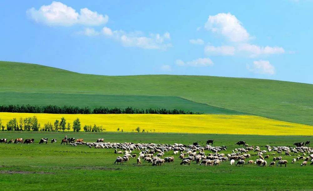 内蒙古大草原梦幻之旅，与自然亲密邂逅