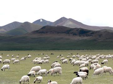 西藏秘境行吟之旅
