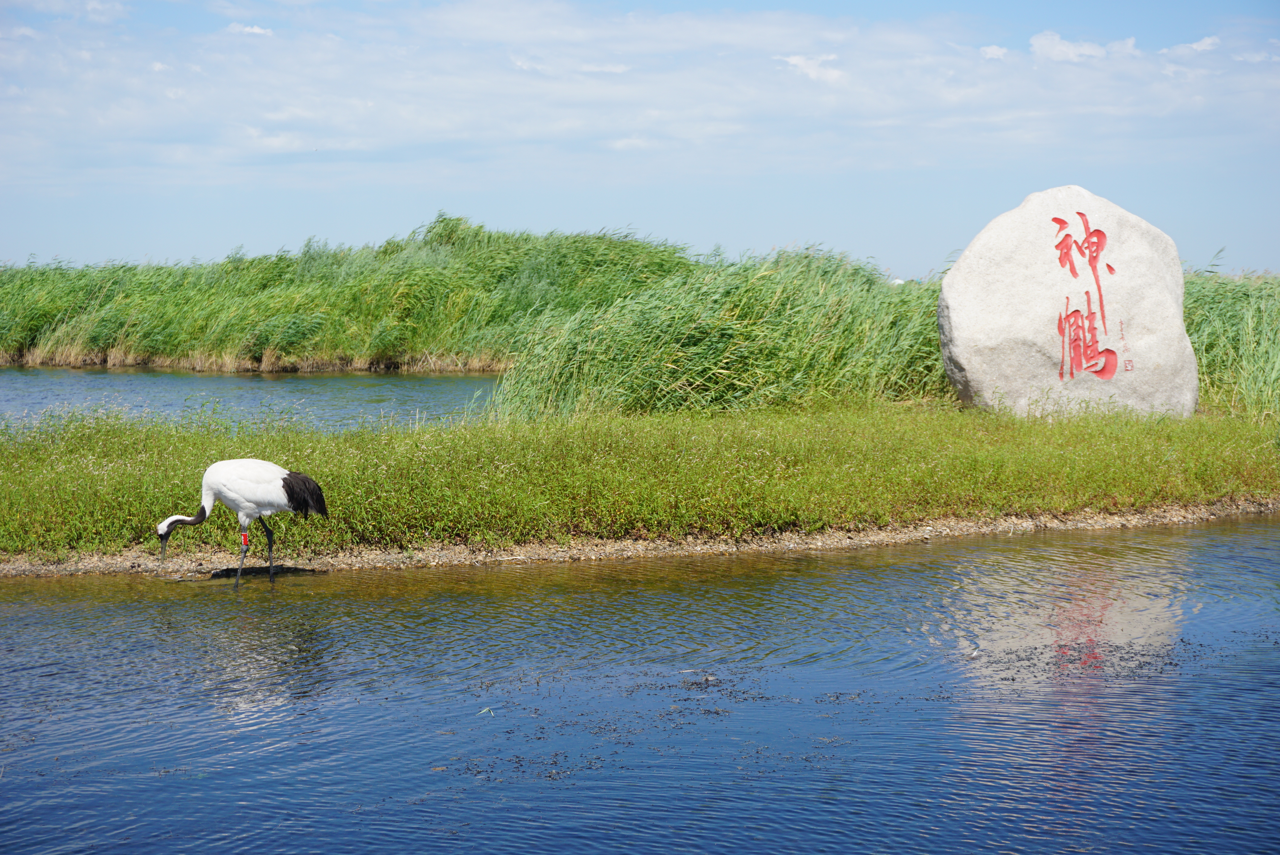 运城任务指南,从初学者到进阶用户的技能进阶之路